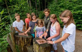 Ausflugsziele für Jugendgruppen, © Waldviertel Tourismus, Studio Kerschbaum