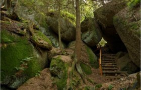 Bärentrail, Luaga-Lucka bei Altmelon, © BÄRENWALD, Matthias Schickhofer