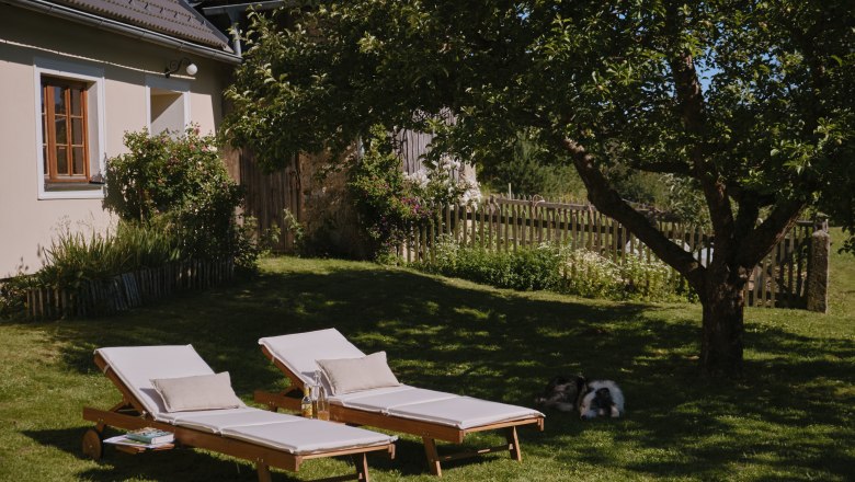 Zwei Liegestühle im Garten neben einem Baum und einem Haus.