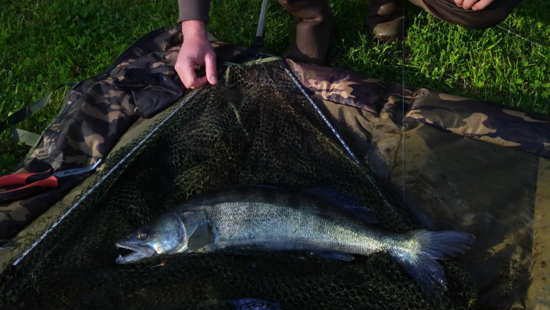 IMG_20210523_184344~2, © Gemeinde Pölla