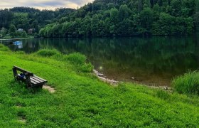 Eine Bank steht auf einer gr&uuml;nen Wiese am Ufer des Stausees Thurnberg, umgeben von bewaldeten H&uuml;geln und unter einem bew&ouml;lkten Himmel mit sichtbarer Sonne.