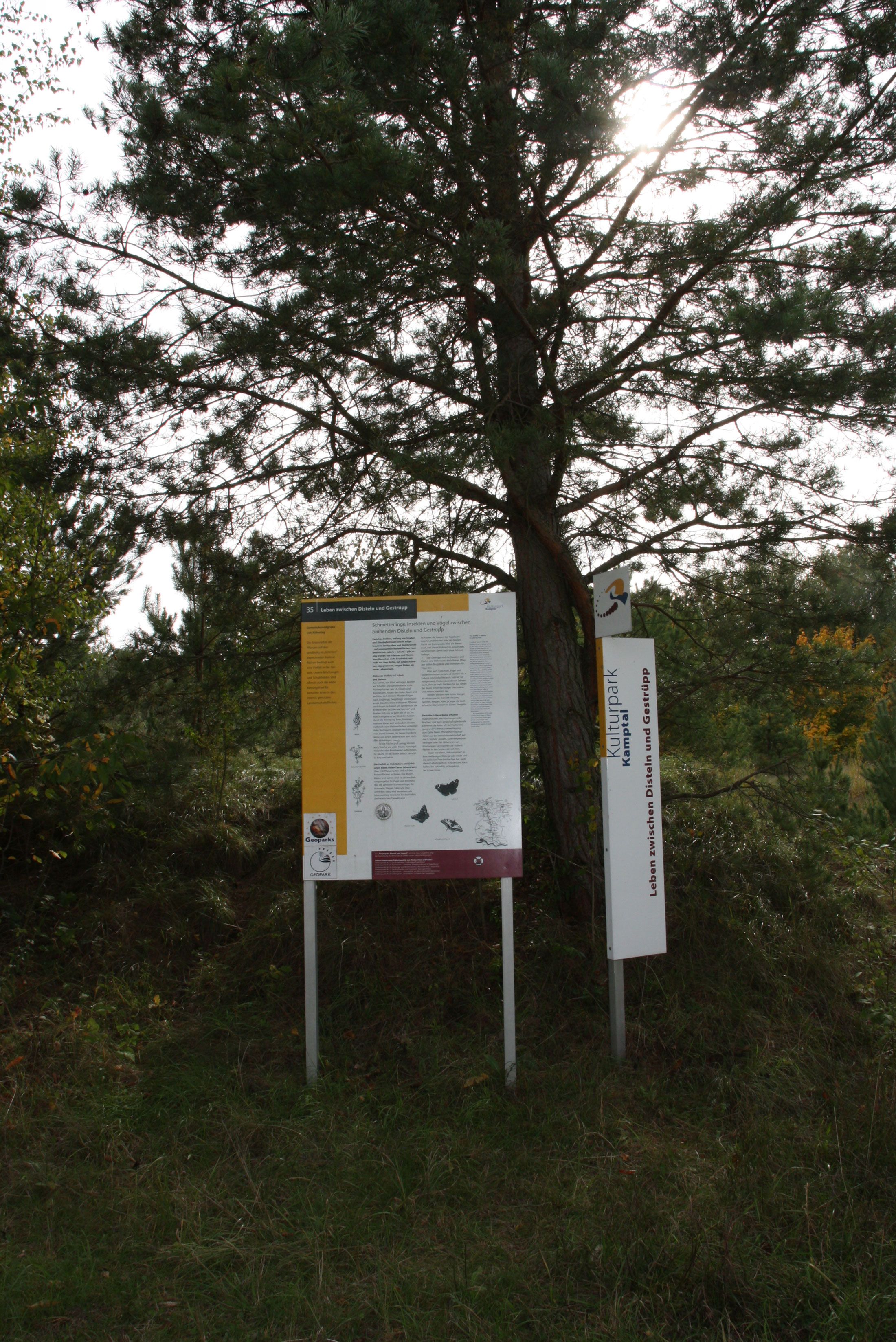 Sandgrube Kühnring