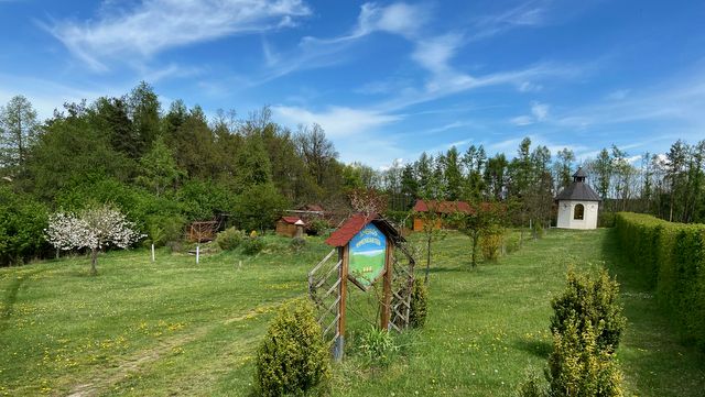 Ein Paradies für Bienen