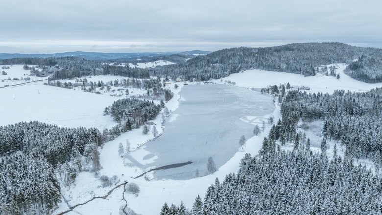 Luftaufnahme eines verschneiten Sees umgeben von W&auml;ldern und H&uuml;geln.