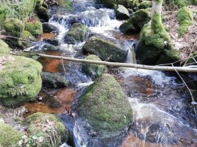 Angelbach, &copy; Marktgemeinde Bad Gro&szlig;pertholz