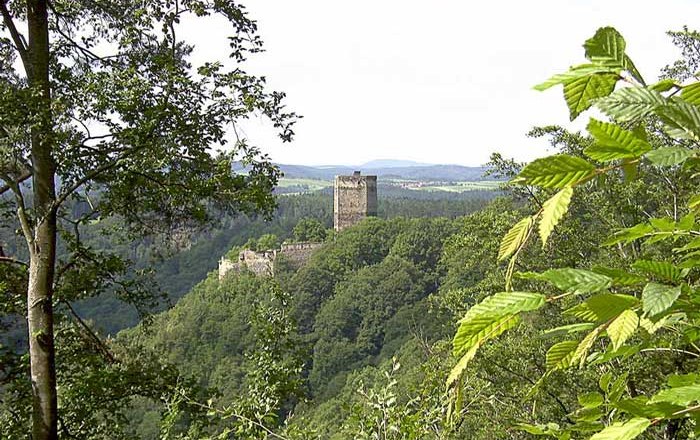 Ruine Schauenstein auf einem bewaldeten Hügel, umgeben von Bäumen.