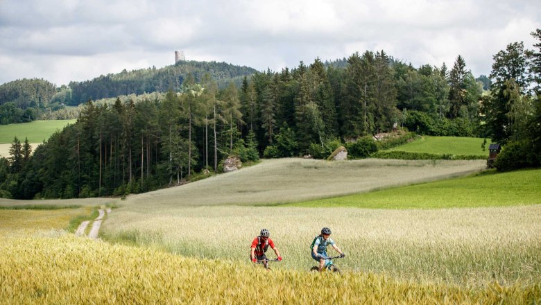 Granittrail, © Waldviertel Tourismus, Erwin Haiden