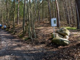 Station 4, © Gottfried Grossinger