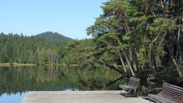 Holzsteg mit Bänken am Edlesberger See, umgeben von Wald.
