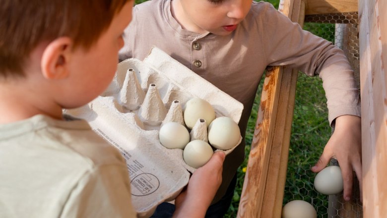 frische Eier fürs Frühstück, © ReiWaSchHOF