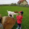 Goat pasture, © Michaela Czadek