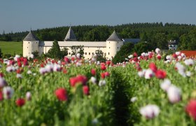 Schloss Ottenschlag, © Martin Rehberger