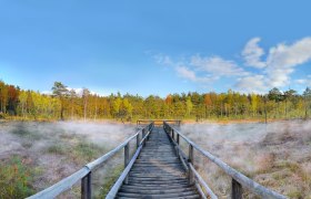 Pr&uuml;gelsteg im Naturpark Heidenreichsteiner Moor, &copy; Horst Dolak
