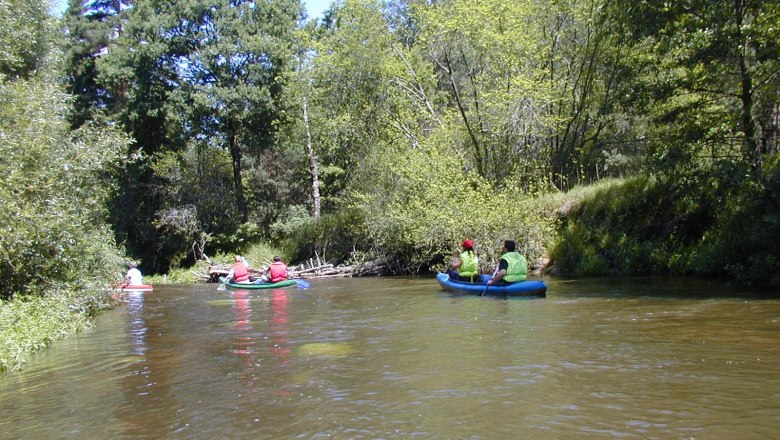 Menschen paddeln in Kanus auf einem Fluss, umgeben von Bäumen.