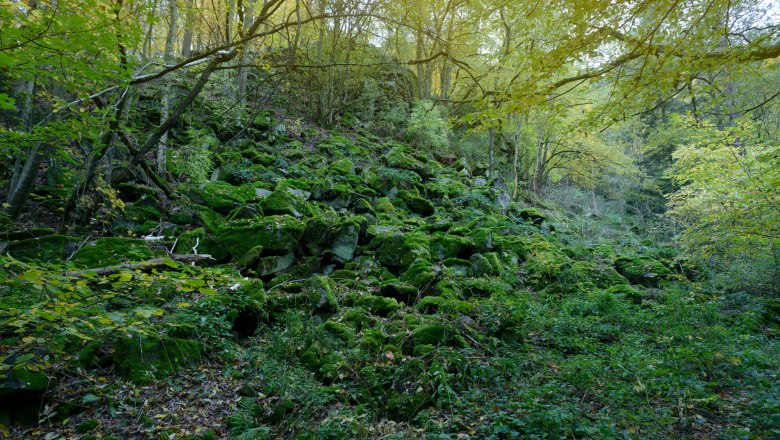 Pulkautal, © Waldviertel Tourismus, Matthias Schickhofer