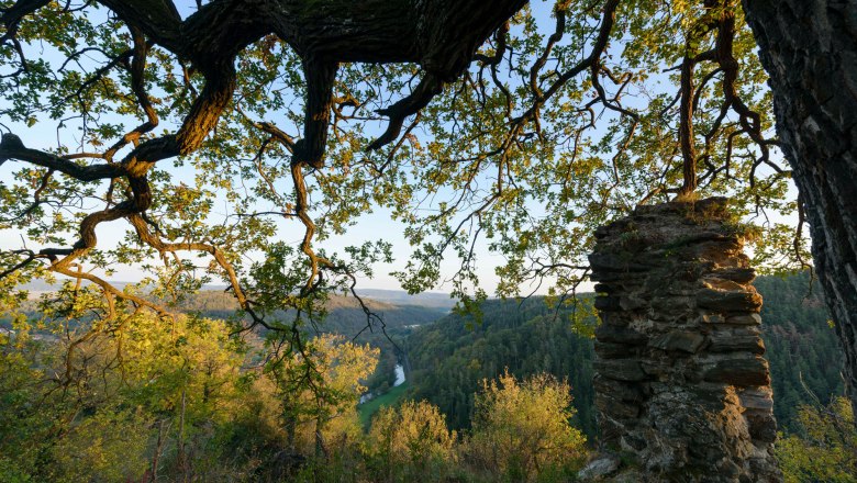 Ruine Schimmelsprung, © Waldviertel Tourismus, Matthias Schickhofer