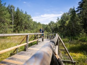 Rad fahren, Wasserlandschaftsradweg, Waldviertel, Naturpark Hochmoor Schrems, &copy; velontour.at Das Copyright &copy; velontour.info bzw./oder &copy; velontour muss dabei immer angegeben werden. Die Destination Waldviertel GmbH ist berechtigt die Lichtbilder teilweise zu bearbeiten (ausschlie&szlig;lich Zuschneiden des Bildes f&uuml;r technische Gegebenheiten ist erlaubt). Die Bilder d&uuml;rfen ohne Zustimmung des Vertragspartners nicht weiterbearbeitet werden (zum Beispiel weitere Bildbearbeitung, Spiegelung, Retuschieren). Eine unentgeltliche Weitergabe an Dritte aus dem Presse- und Tourismusbereich (z.B.: Bilderdatenbank f&uuml;r Hotels und Regionen) ist gestattet.
