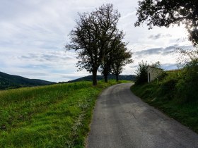 Weg nach Pöggstall, © Gottfried Grossinger