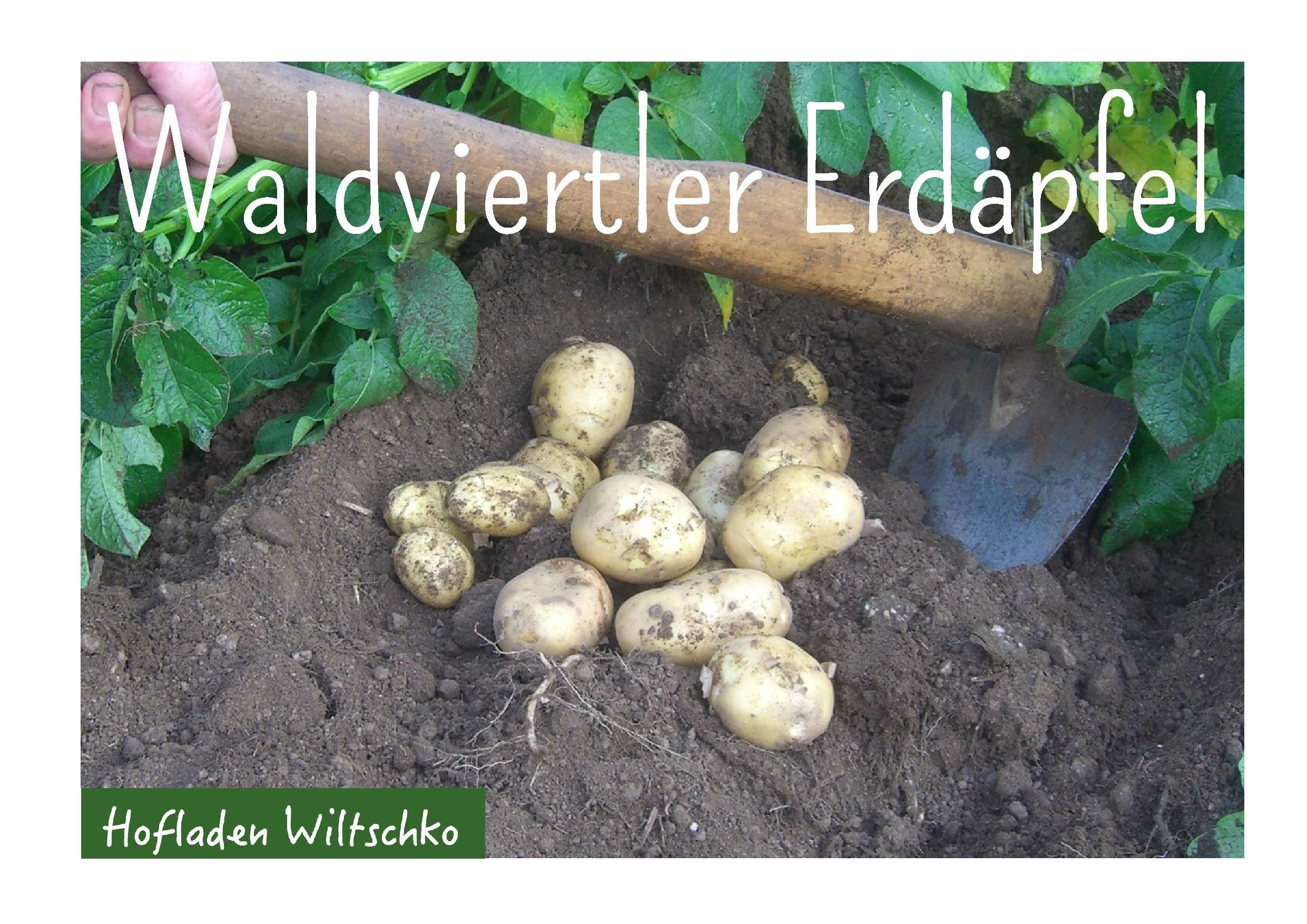 Waldviertler Erdäpfel