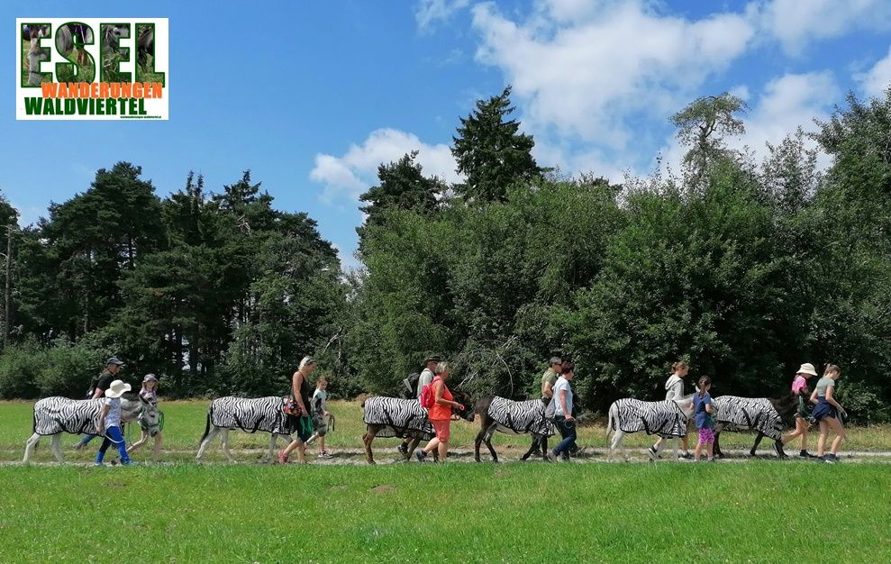 Eselwandern