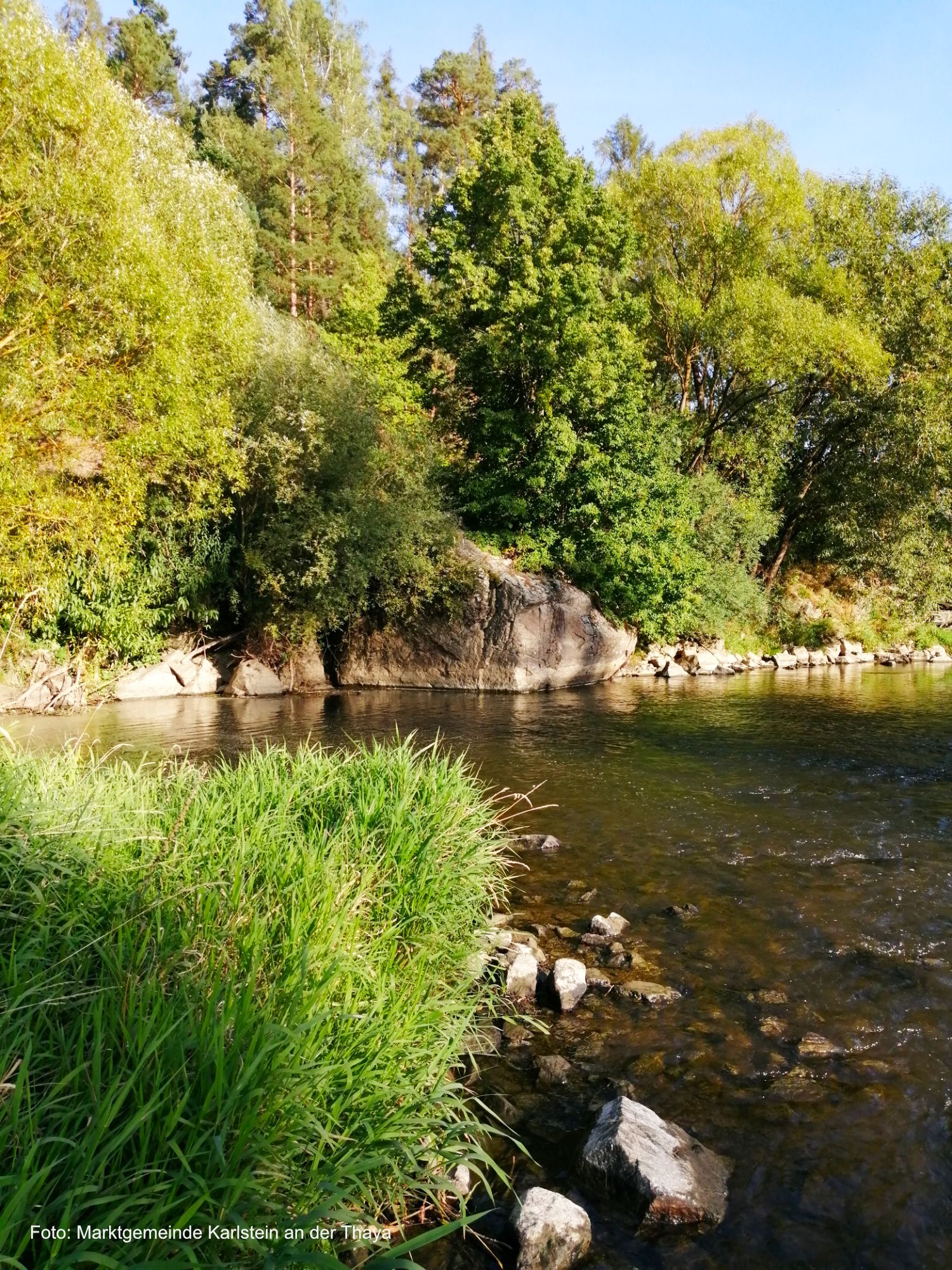 Blick über den Fluss Thaya zu einem Felsen, namens Hangenstein, der in den Fluss ragt und von Bäumen umgeben ist.