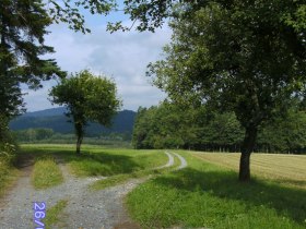 Steinbruchwanderweg, © Waldviertel Tourismus