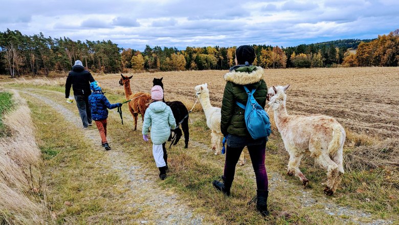 Wanderung, &copy; Michael Berner