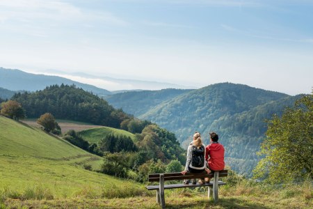 Aussicht ins Ysper-Weitental, © Waldviertel Tourismus, Studio Kerschbaum