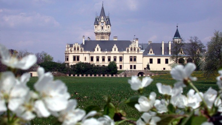 Schloss Grafenegg mit blühenden Bäumen im Vordergrund.