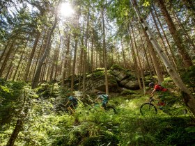 Durch dichte Wälder und über sanfte Hügel schlängelt sich der Granittrail, ein Paradies für Mountainbiker. Die frische Luft und das Rauschen der Blätter schaffen eine unvergessliche Atmosphäre, während die Radfahrer die Schönheit der Natur genießen.