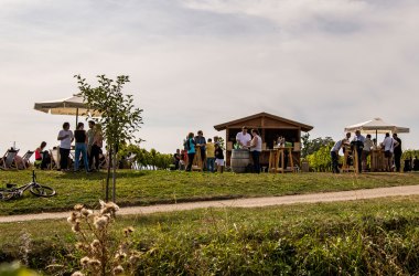 Weingartenschank am WEINWeg Langenlois, © POV Robert Herbst