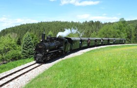 Eine historische Dampflokomotive zieht grüne Waggons der Waldviertelbahn durch eine grüne Landschaft mit Wiesen und Wäldern.