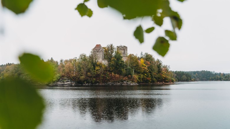 Blick auf die Ruine Lichtenfels am Stausee Ottenstein, umgeben von herbstlichen Bäumen und Wasser.