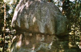 Ein großer, runder Felsen im Wald, umgeben von Bäumen.