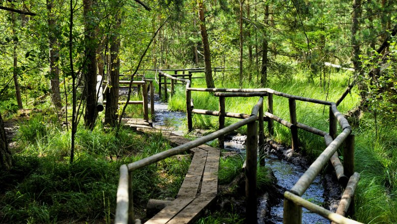 Přírodní park Heidenreichsteiner Moor, © POV