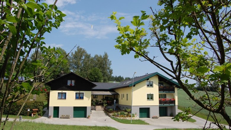 Ein großes gelbes Ferienhaus mit grünen Garagentoren, umgeben von Bäumen und Wiesen.
