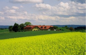 Ein Bauernhof mit roten Dächern inmitten von grünen Feldern und gelben Blumen unter einem bewölkten Himmel.