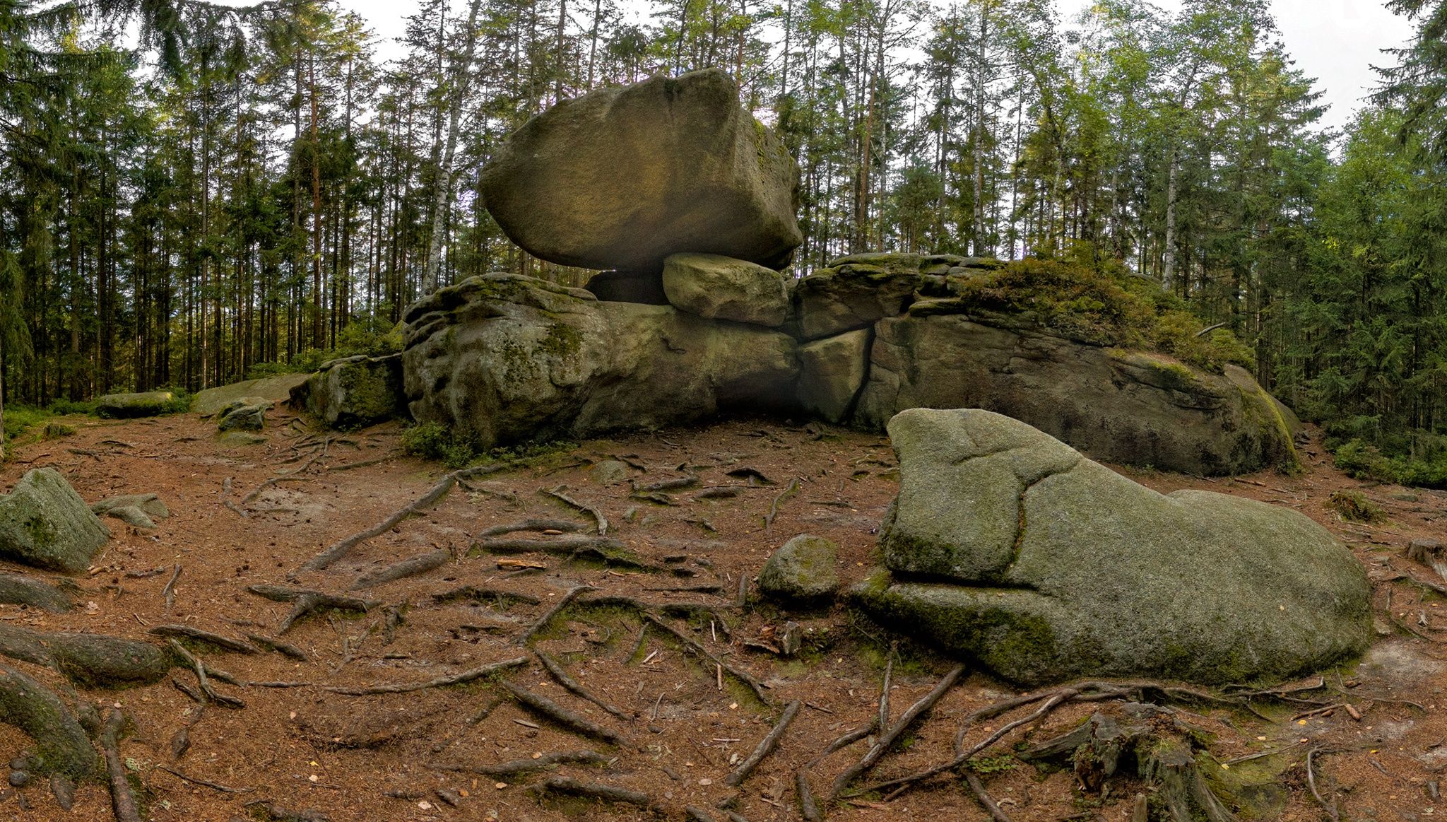 Große Felsformation im Wald mit Bäumen im Hintergrund.