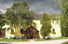 Gelbes Haus mit Holzdach und Garten, umgeben von Bäumen.