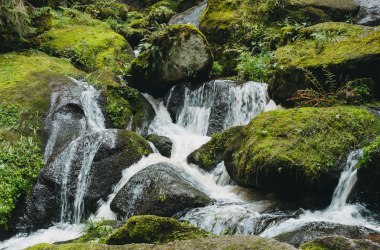 Lohnbachfall, © Line Sulzbacher