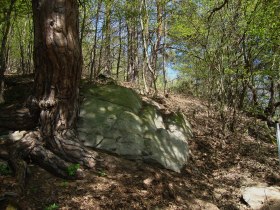 Methusalemstein, © Gottfried Grossinger