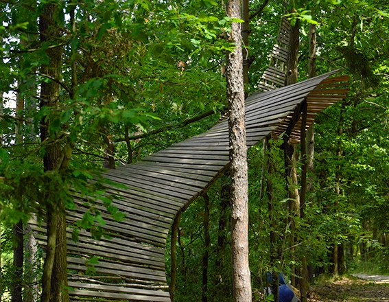 Holzkunstwerk in einem Wald, das sich zwischen Bäumen erstreckt.