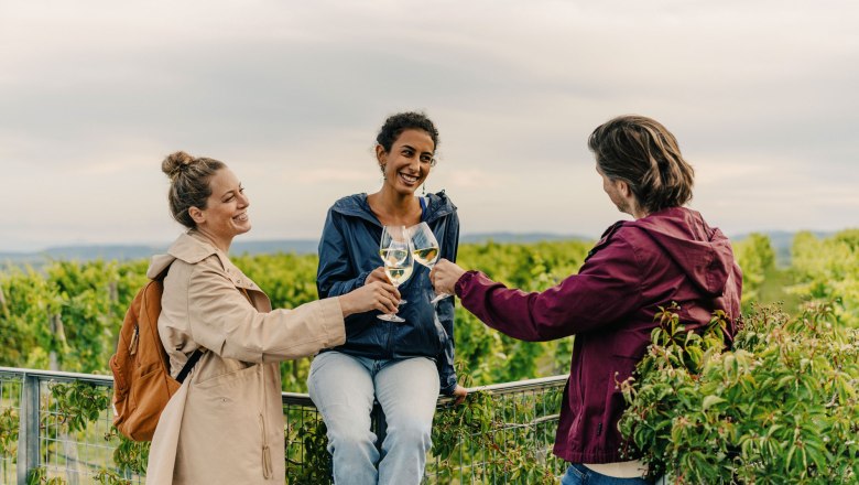 WEINWEG Langenlois, © Niederösterreich Werbung/Julius Hirtzberger