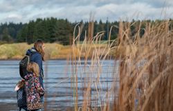 Ein sanfter Wind weht über den Bruneiteich, während eine Mutter mit ihrer Tochter am Ufer entlang spaziert. Die goldenen Schilfrohre wiegen sich im Rhythmus der Natur und schaffen eine friedliche Atmosphäre, die zum Verweilen einlädt.