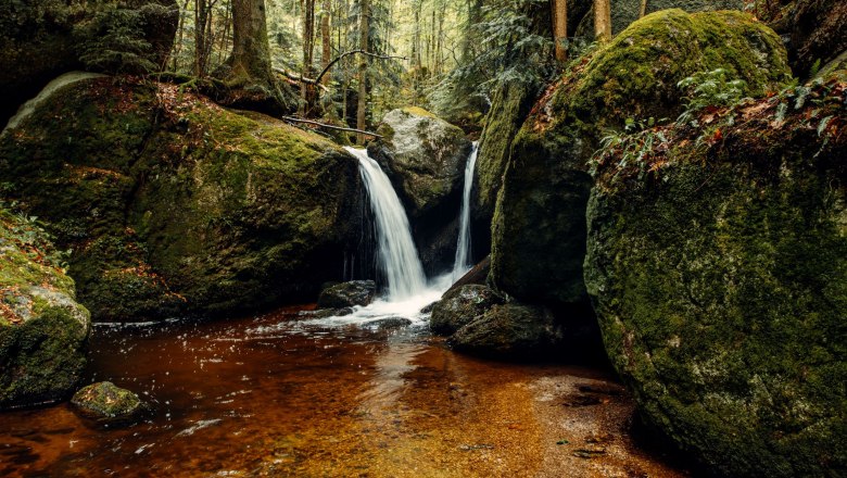 Druidenweg, Ysperklamm, © Österreichs Wanderdörfer, CreativeJungle