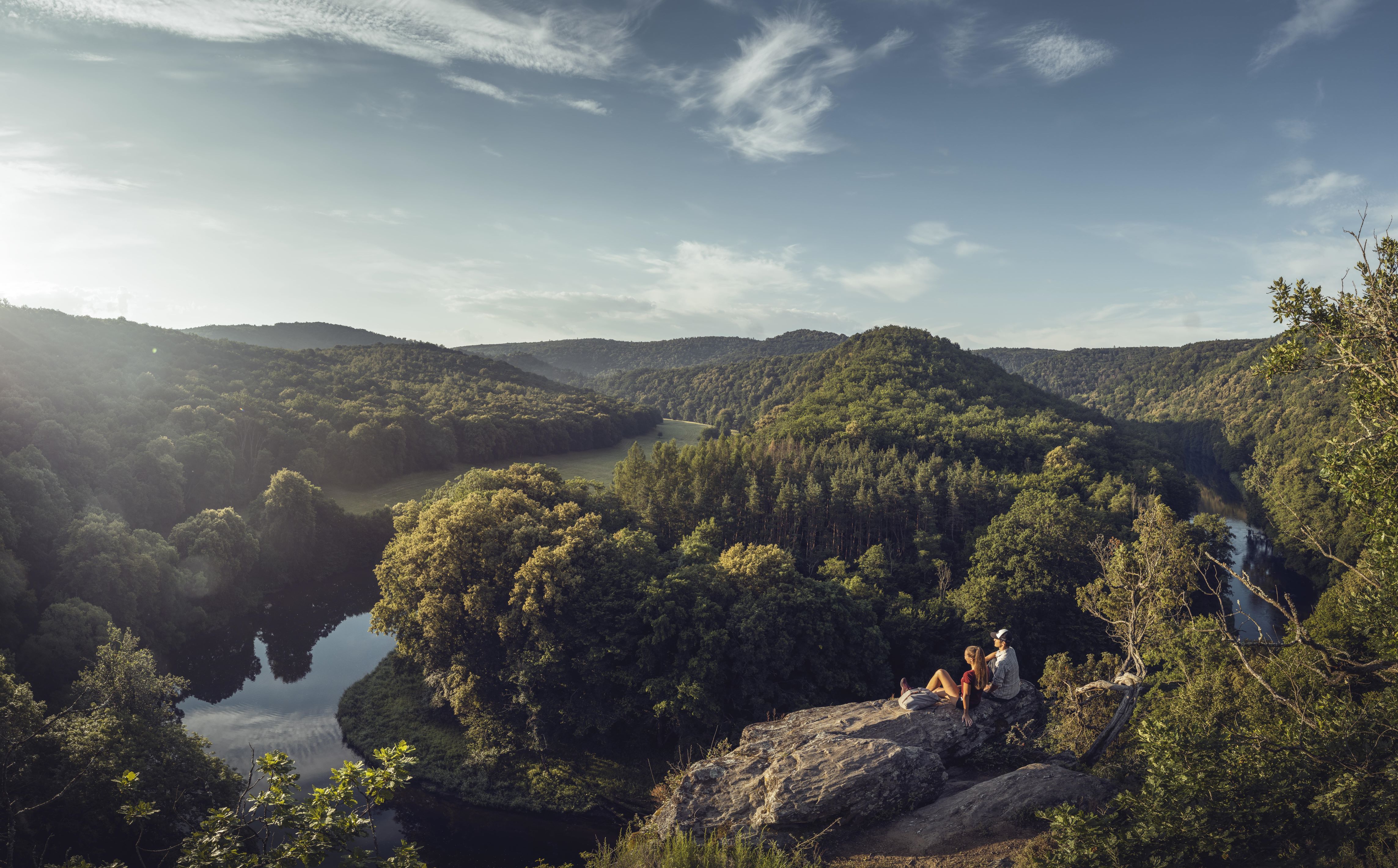 Naturlandschaft mit Thayafluss und Baumlandschaften bei schönem Wetter. 