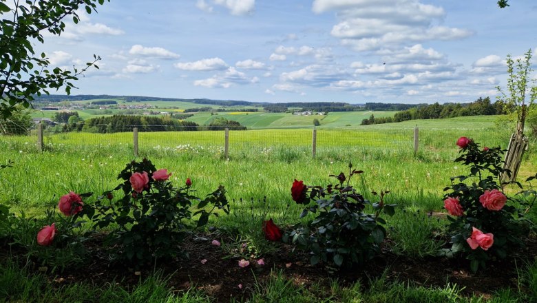 Rosengarten mit Aussicht, © U.E.