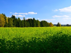 Wanderweg Wilde Jagd 2, &copy; Johannes Hei&szlig;enberger