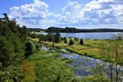 Naturpark Heidenreichsteiner Moor, © POV