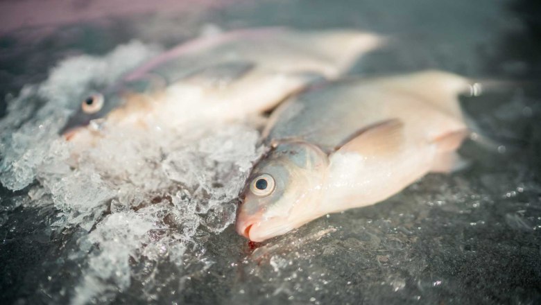 Eisfischen mit Bernhard Berger, © Niederösterreich Werbung, Daniel Gollner